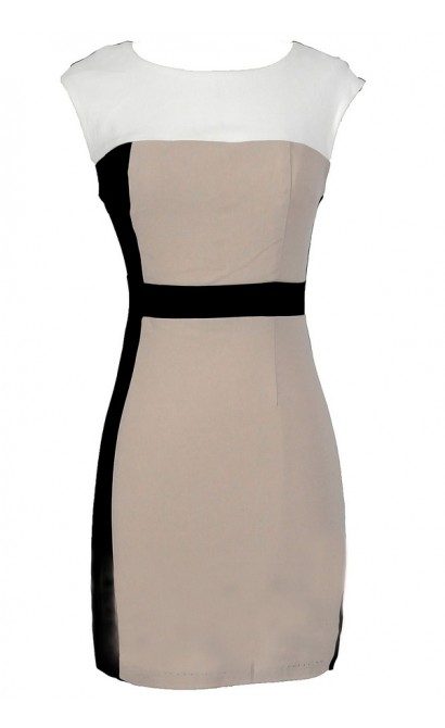 Neutral Territory Colorblock Pencil Dress